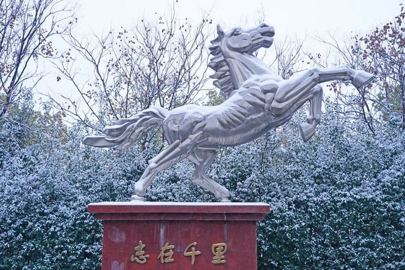 ����BB(�й�)�ɷ����޹�˾_����