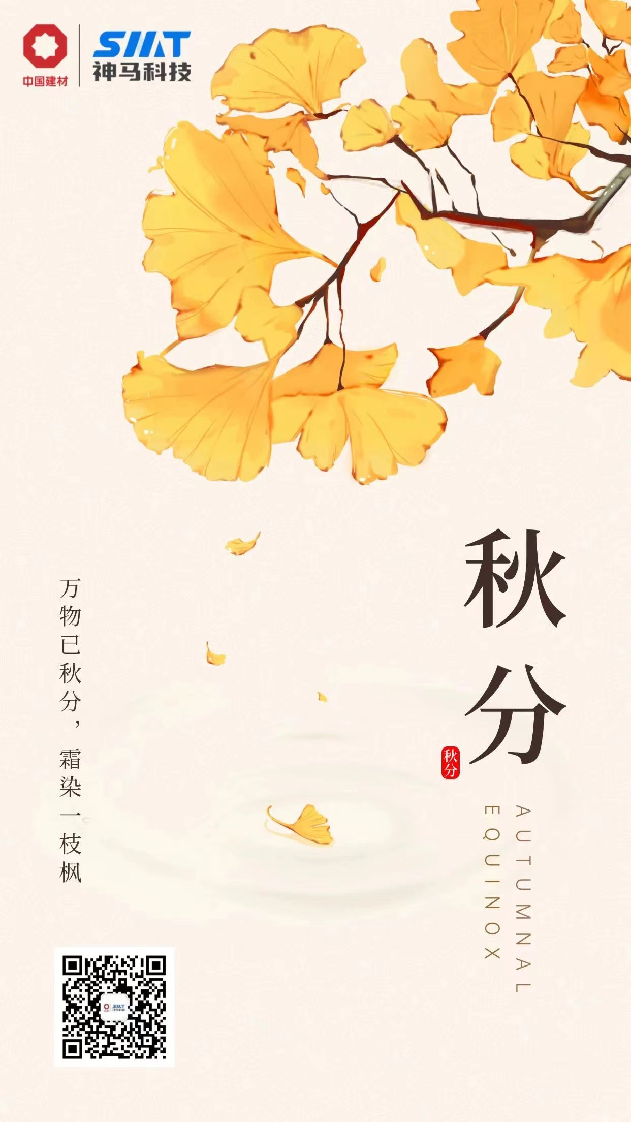 ����BB(�й�)�ɷ����޹�˾_����