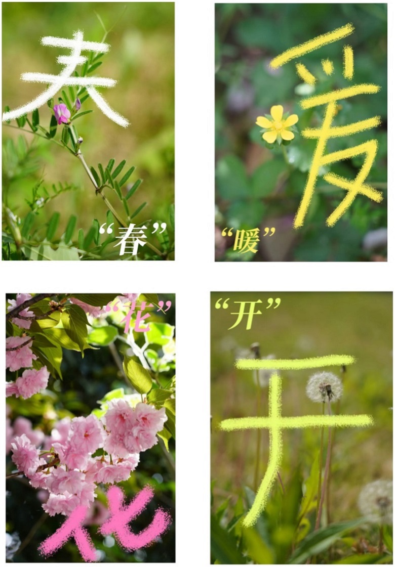 ����BB(�й�)�ɷ����޹�˾_����