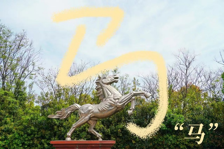 ����BB(�й�)�ɷ����޹�˾_����