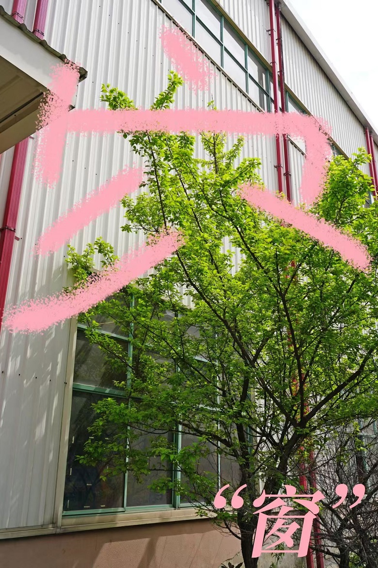 ����BB(�й�)�ɷ����޹�˾_����